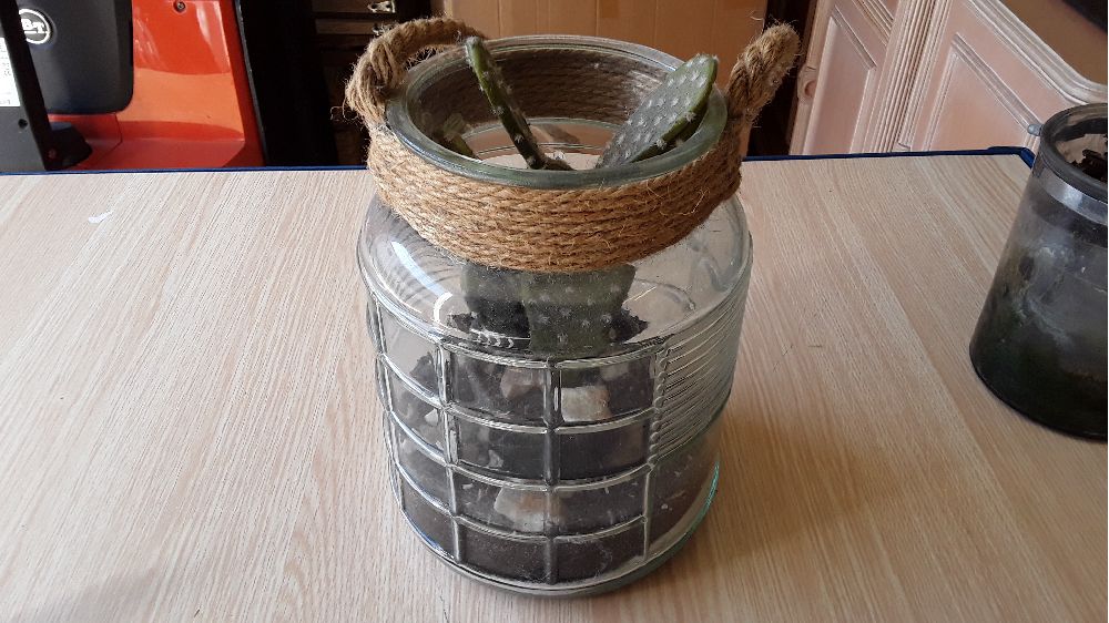 Decoration verre cactus