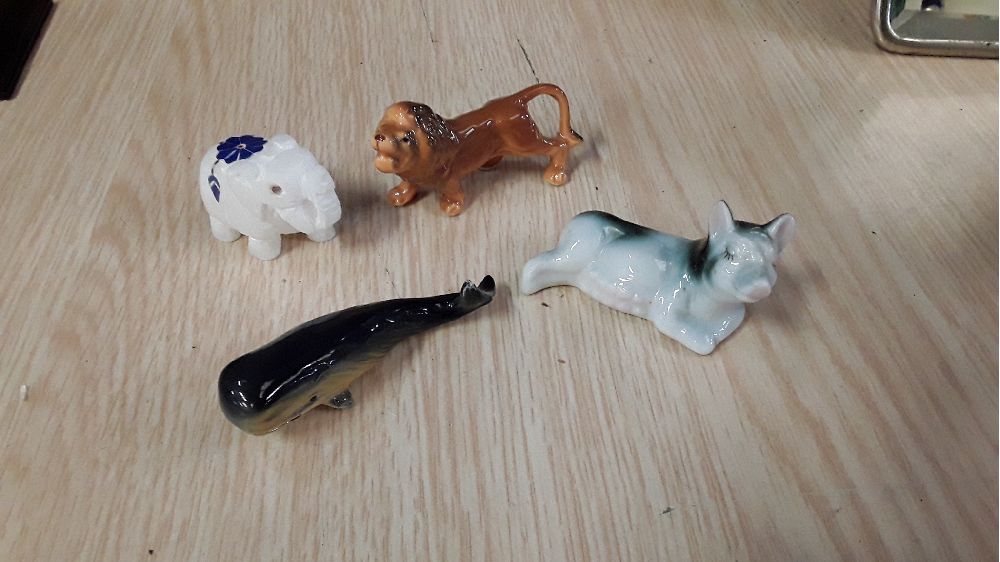 Animal pm