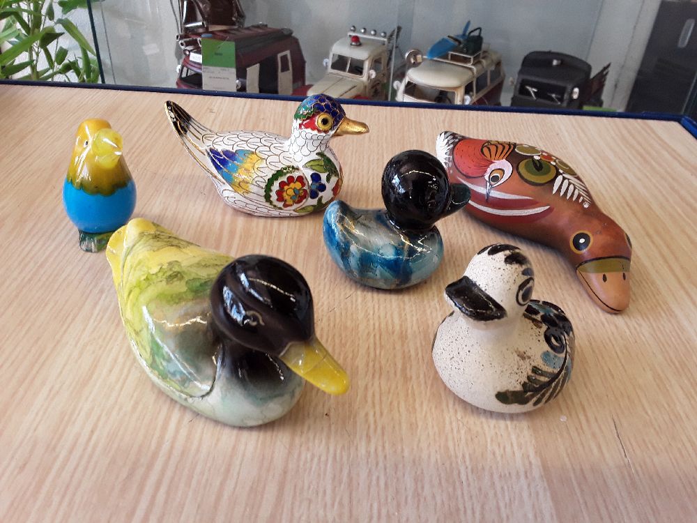 Petit canard