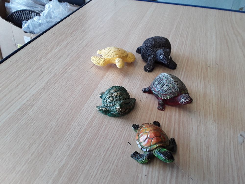 Tortue