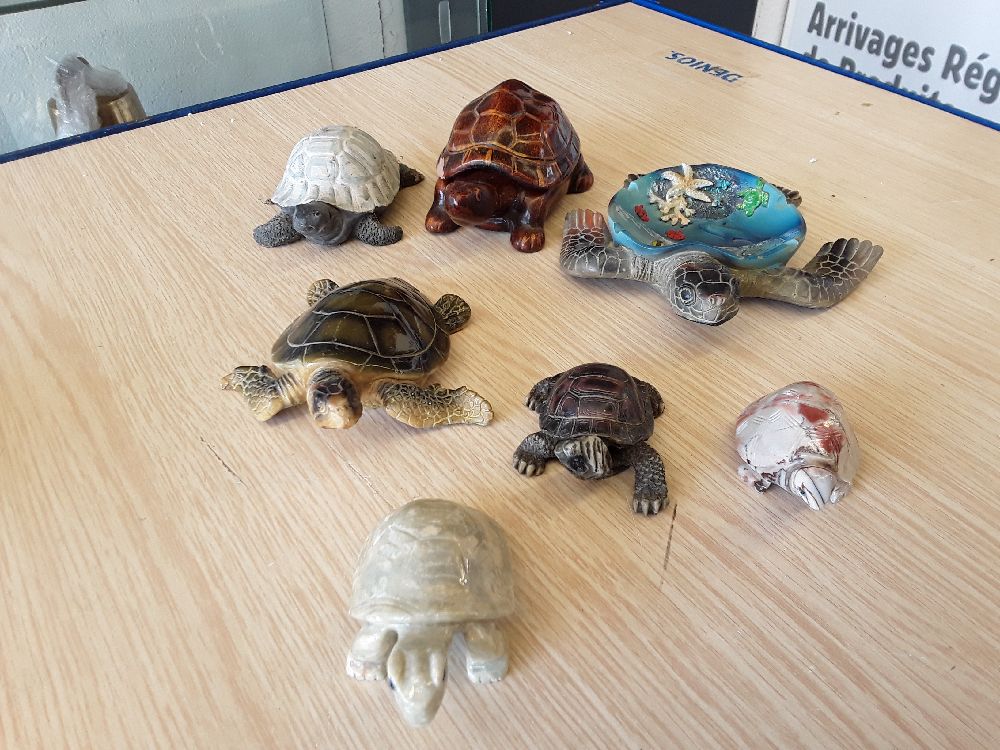 Tortue