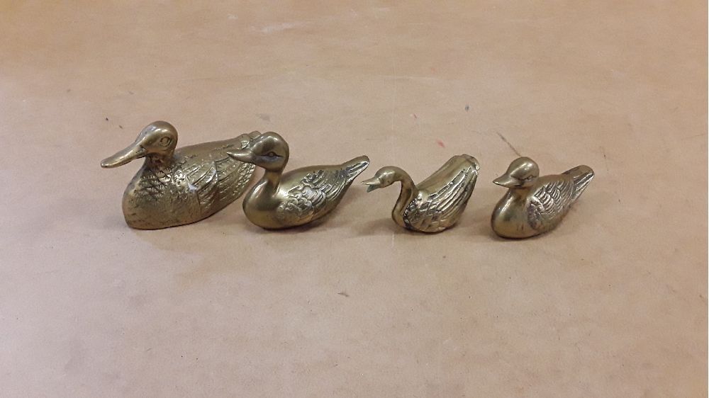 Oiseaux laiton