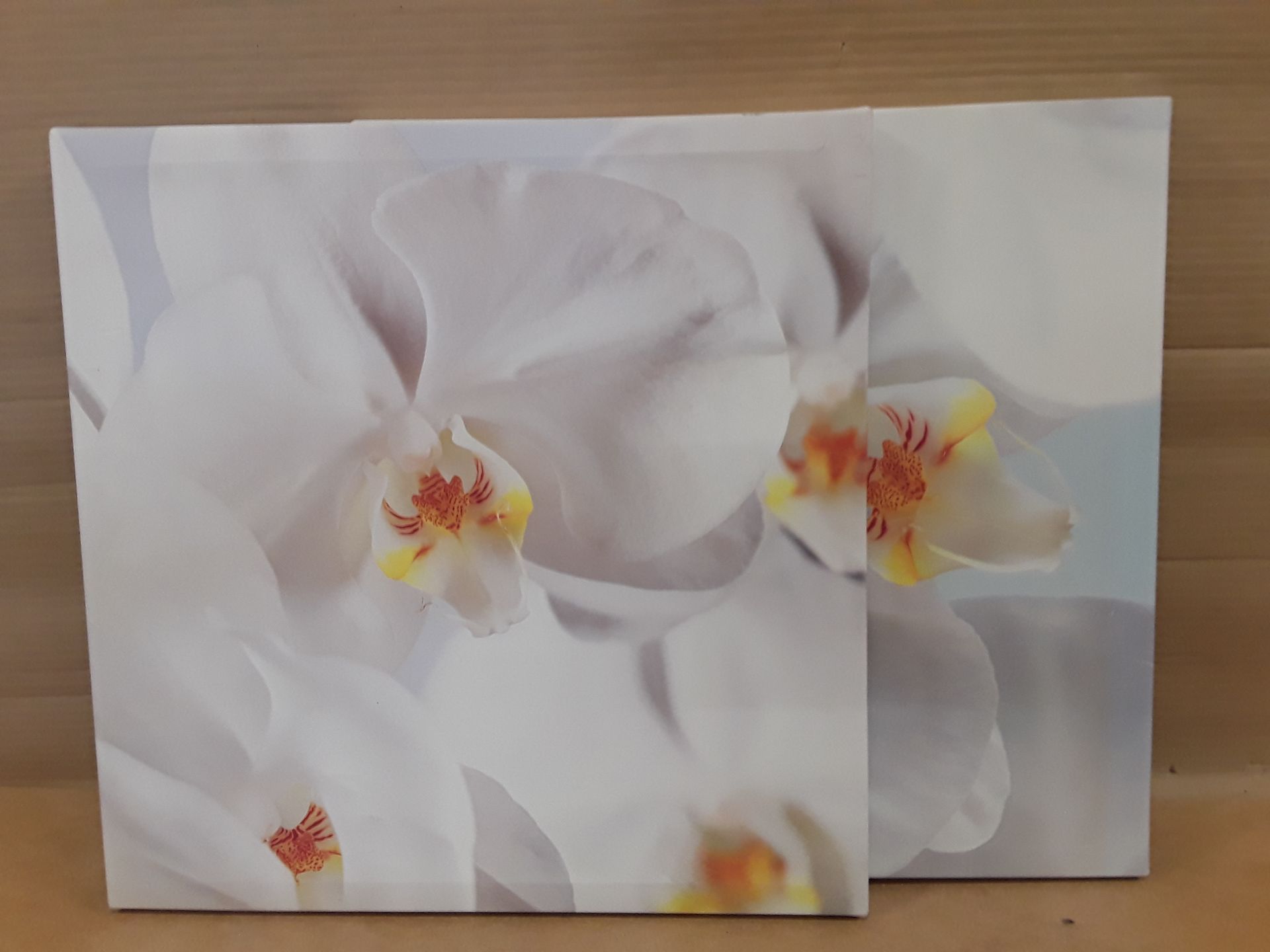 Toile lotus