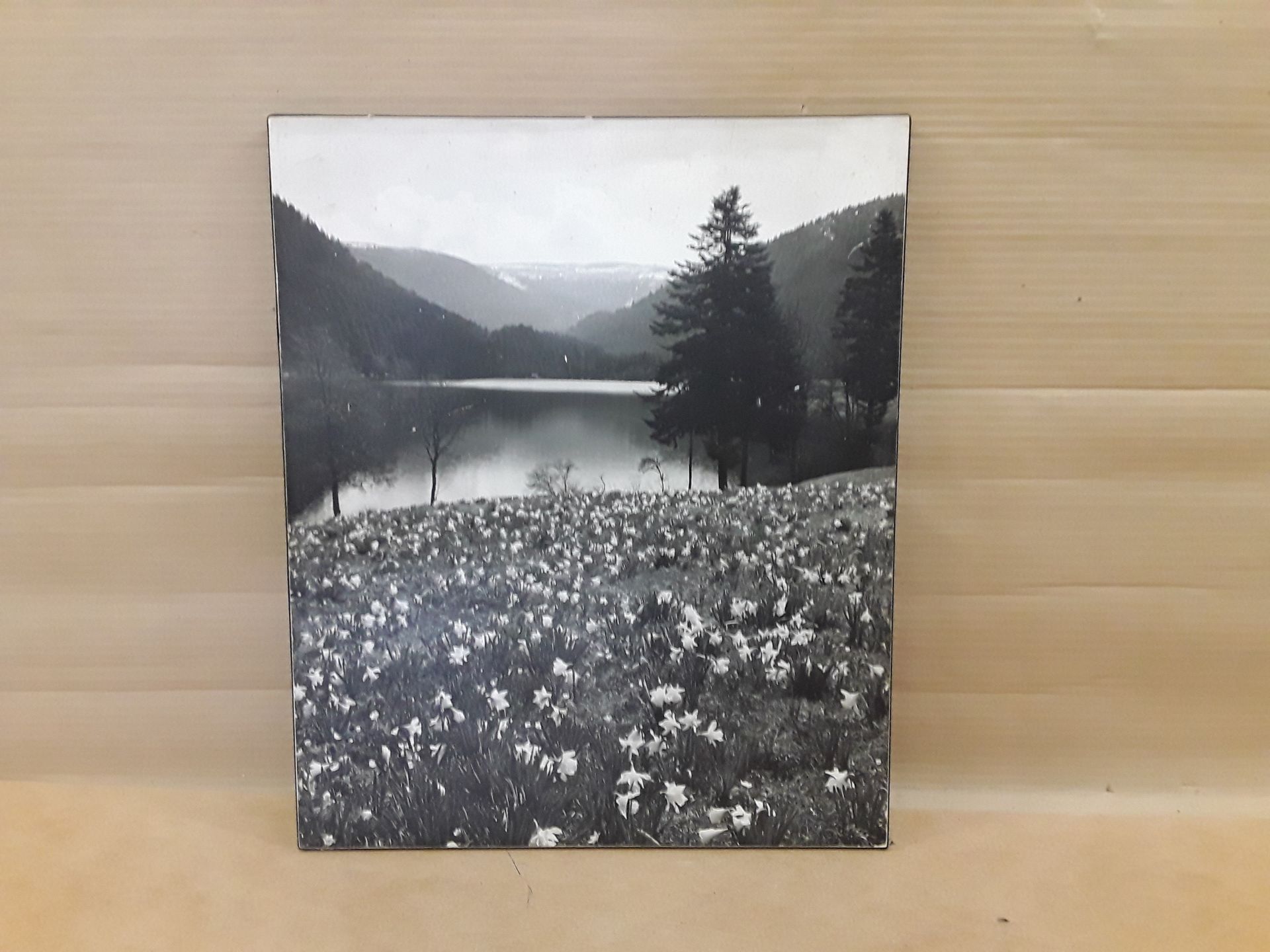 Photo ancienne lac gerardmer