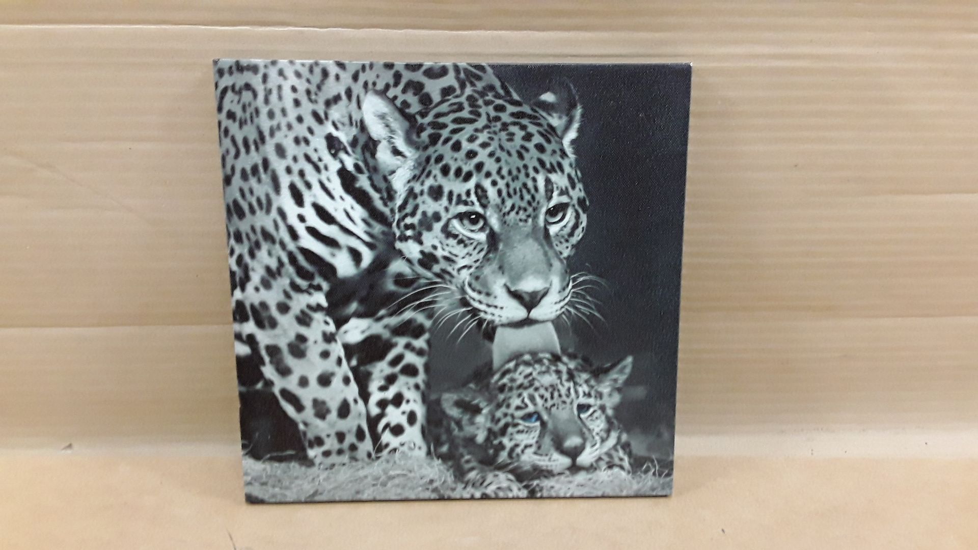 Cadre lionne 30 cm
