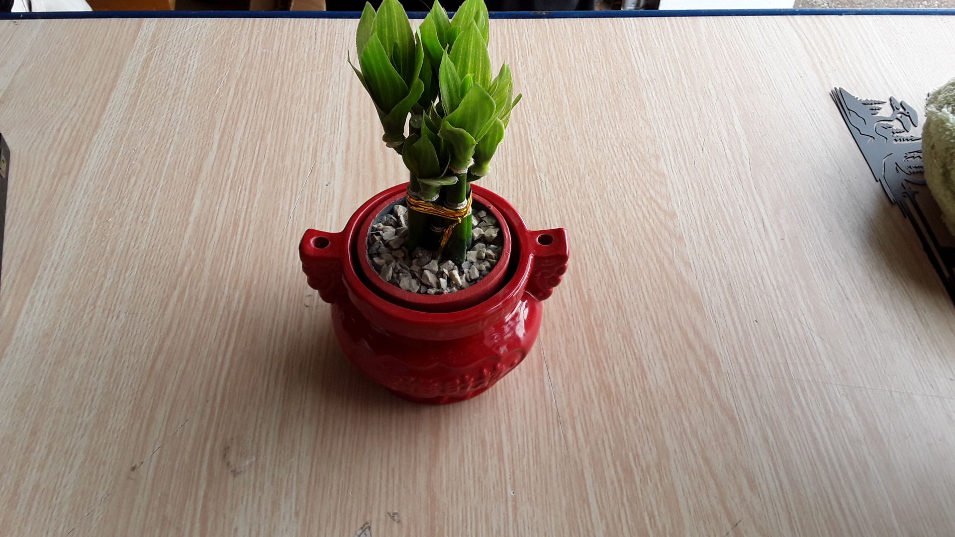 Plante artificielle pm
